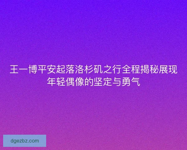 王一博平安起落洛杉矶之行全程揭秘展现年轻偶像的坚定与勇气